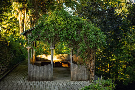 cozy gazebo in the park twined with ivyの写真素材