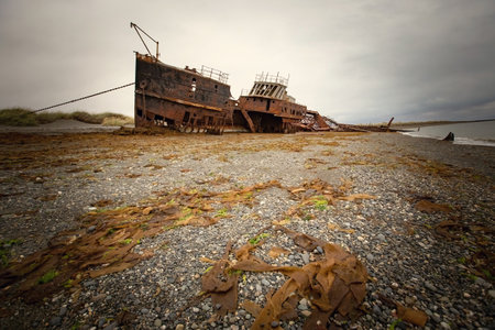 Shipwreck called Amadeo on the  coast of Magellan Strait, rusty warship wreck, Tierra Del Fuego, Chileの写真素材