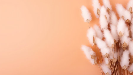 Soft fluffy dry reed buds on the peach fuzz backgroundの素材