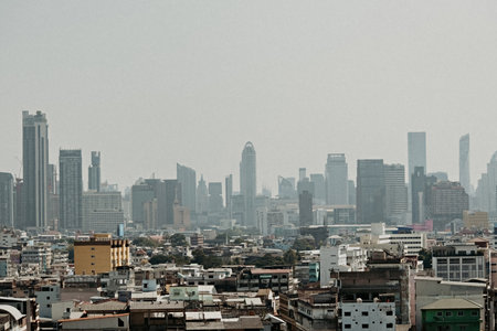 Aerial view of Bangkok from Golden Mount Temple, Thailand