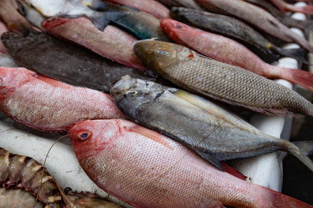 Fish market counter in Kota Kinabalu Borneo Malaysiaの写真素材