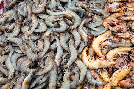Raw prawns top view on the counter at fish marketの写真素材
