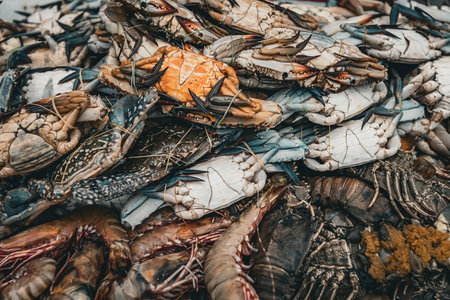 Raw prawns and crabs top view on the counterの写真素材