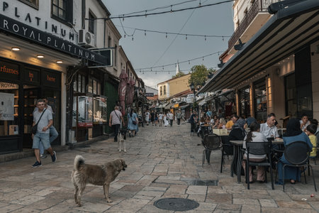People on the narrow market street in Skopje old town, North Macedoniaのeditorial素材
