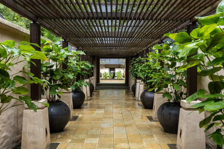 Exterior details of the luxury hotel featuring plant pots and small fountainsの写真素材