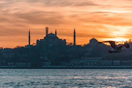 Beautiful sunset at Bosphorus mosque minaret silhouette, boats on the water Sultanahmet area of Istanbul Turkeyの写真素材