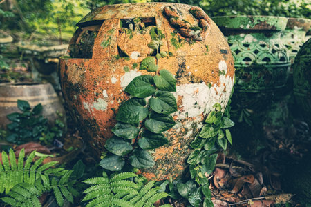 Old clay pots covered with moss and ivy plants in the garden in Malaysiaの写真素材