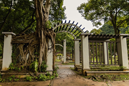 Landscape at Mirror Lake Park in Ipoh Malaysiaの写真素材