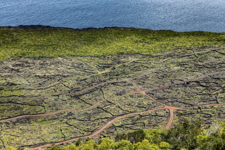 Volcanic terrain in the national park at Pico island Azores Portugalの写真素材