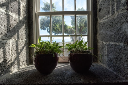Two flower potson the stone massive windowsill in the old houseの写真素材