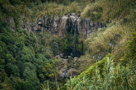 Small beautiful forest waterfall in San Miguel island in Azores Portugal