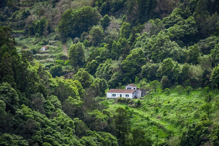Green hills and traditional white houses in Azores islands Portugalの写真素材