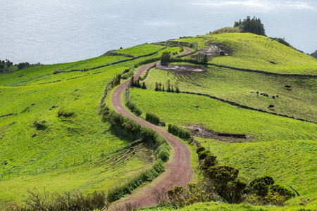 Bright green hills in Azores islands Portugalの写真素材
