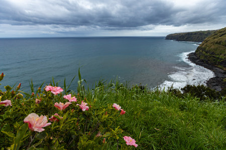 Breathtaking cliff and ocean view at San Miguel island Azores Portugalの写真素材