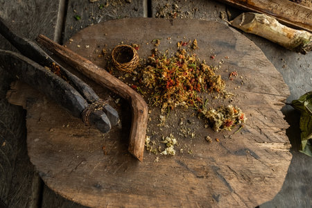Mentawai traditional tools and ingredients for preparing the medicite and poison at Mentawai village...