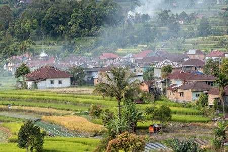 Amazing view of green rice fields in West Sumatra Indonesiaのeditorial素材