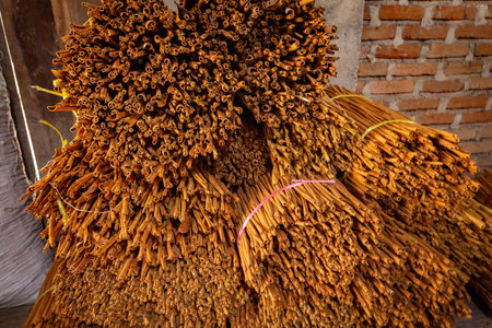 A big bunch of cinnamon sticks for wholesale delivery at cinnamon plantation in West Sumatra Indonesiaの写真素材