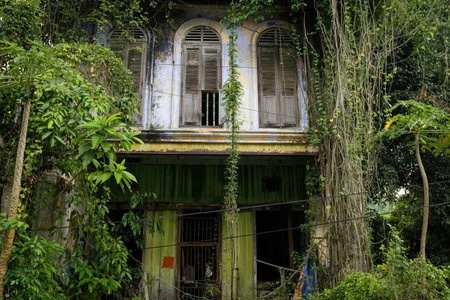 Old Chinese abandoned house covered with plants and roots in Papan Heritage village in Perak, Malaysiaのeditorial素材