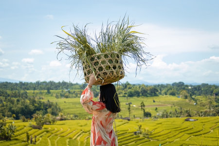 European woman carrying traditional woven baskets filled with fresh grass, walking through lush green rice fields in rural Bali.のeditorial素材