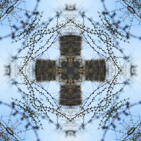 A collage of photos, pattern - thin spring twigs of larch on a background of blue sky with young bright needles, young shoots, macroの写真素材