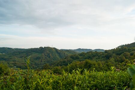 Mountain landscape, view from the top to the green mountains of the Caucasus. Summer. Subtropics....