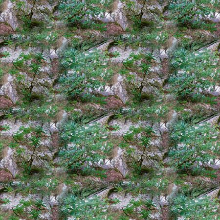 Seamless texture from the photo, endless pattern. Square. Background for a website, blog or app....