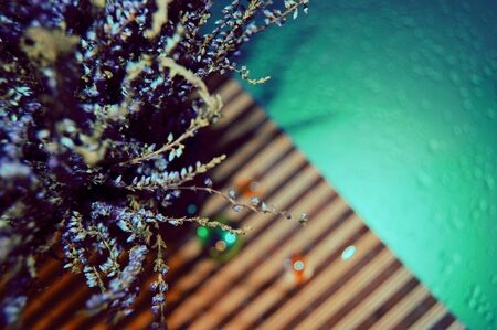 flowersの写真素材