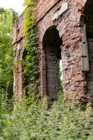 An old brick building, destroyed by time, overgrown