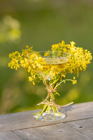 A glass of sparkling wine decorated with wildflowers, a postcard, a place for textの写真素材