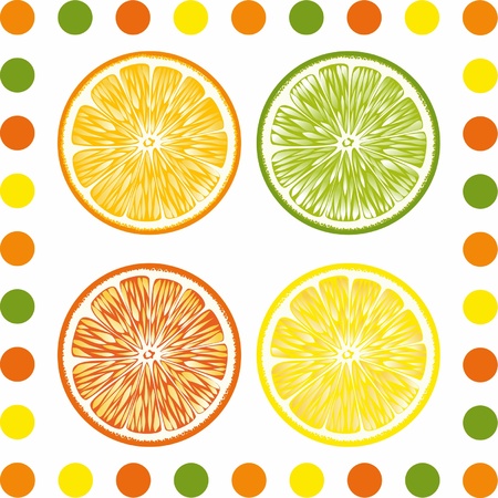 Citrus lobules are presented on the picture のイラスト素材