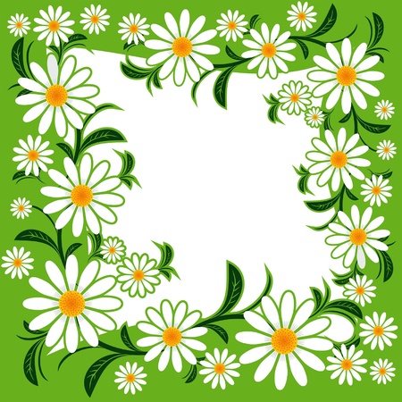 Flower frame with Chamomilesのイラスト素材