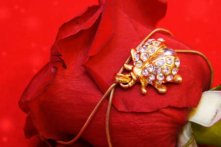 Golden Jewelry Ladybug on Red Rose Petalsの写真素材