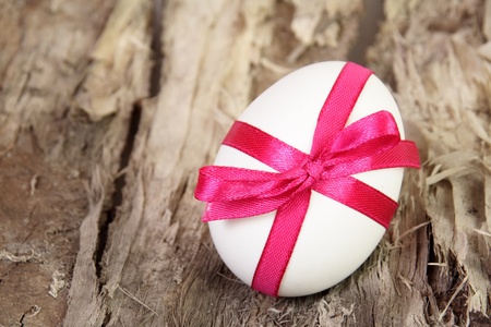 Single White Easter Egg on Woodの写真素材