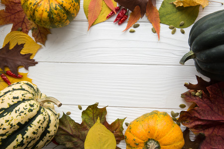 Thanksgiving day concept background. Pumpkin frame with asortment of dried leaves, green, yellow, orange and red. Free space for text. Copy space.の写真素材