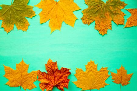 Thanksgiving day holiday greeting card background. Fall colorful leaves on turquoise wooden table....