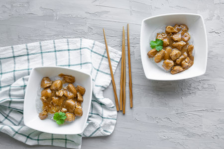 Chicken meat with glass noodles with cilantro on the gray concrete background. Served dinner for two persons, top view.の写真素材