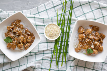 Noodles with chicken, cilantro and sesame on the gray concrete background, top view.の写真素材