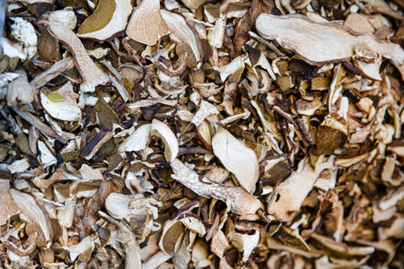 Assortment of dried mushrooms, close up, top view.の写真素材