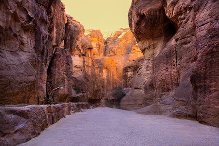 Colorful Siq canyon in Petra, Jordan. Stone walls natural formation.の写真素材