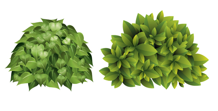 Vector illustration of garden bush with green leaves in cartoon style.のイラスト素材