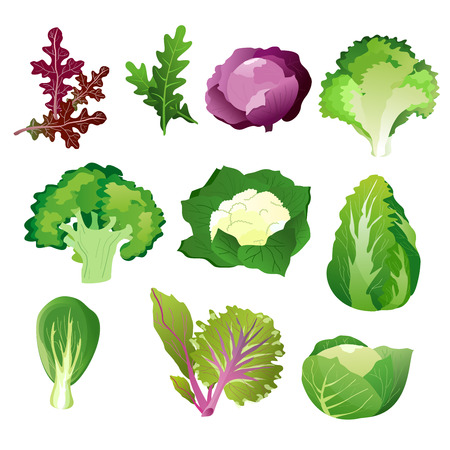 Green salad leaves. Vector vegetarian healthy food leaf set isolated on white backgroundのイラスト素材