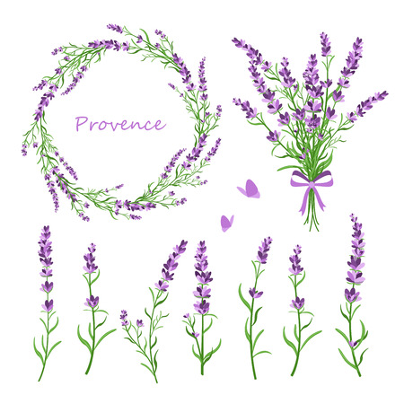Vector illustration set of lavender flowers, bouquet, wreath and elements of design for greeting card on white background in retro flat style, provence conceptのイラスト素材