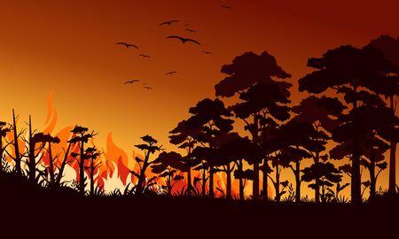 Fire in forest flat vector illustration. Birds flying over fire flame. Wildfire landscape, wildland. Natural ecology disaster. Burning trees and blaze wood at night. Flaming woodlandのイラスト素材