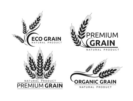 Premium grain flat vector logotype in black silhouette designs set. Organic cereal crops, natural product advertising. Ripe wheat ears cartoon illustrations with typography. Eco farm, bakery shop logo concepts pack.のイラスト素材