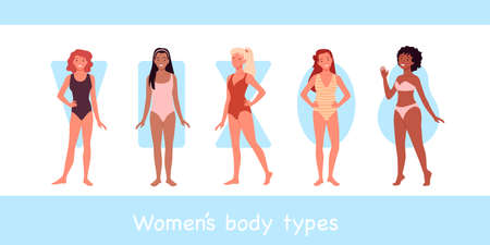 Female model body type infographic vector illustration. Cartoon young happy woman characters in underwear swimsuits standing together in line, different type of constitution and proportions backgroundのイラスト素材