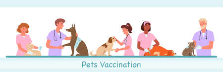 Veterinary clinic hospital, healthcare service vector illustration set. Cartoon visit to veterinarian doctor woman man characters, pet dog domestic animals on medical vet checkup isolated on whiteのイラスト素材