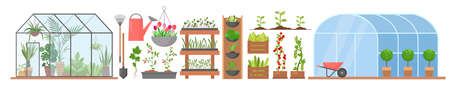 Greenhouse with growing flowers plants vegetables vector illustration set. Cartoon glass or plastic tunnel greenhouse construction, horticulture farm agriculture modern technology isolated on whiteのイラスト素材