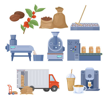 Coffee production vector illustration set. Processing and roasting coffee beans, making coffeeのイラスト素材