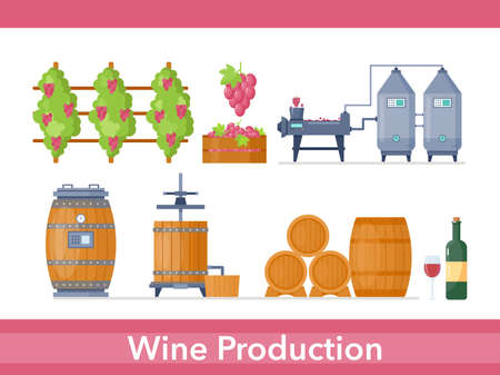 Wine production process in winery factory manufacture vector illustration set. Cartoon processing line with growing grapes, fermentation machine, pressing and storage wine product in wooden barrelsのイラスト素材