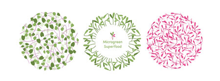 Cartoon eco decoration elements collection with mustard sunflower arugula orach herb leaf, green superfood in circle graphic design isolated on whiteのイラスト素材
